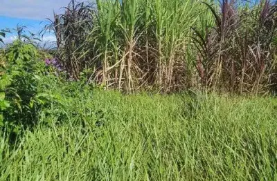 Otima fazenda com 27.8 hectares na região de macaiba