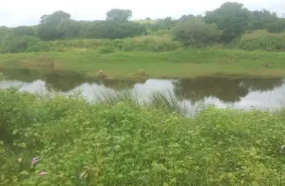 Granja casa m 12 hectares na região de monte alegre