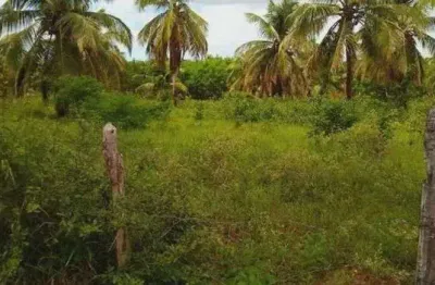 Chácara / sítio com 2 quartos à venda no Centro, Ceará-Mirim 
