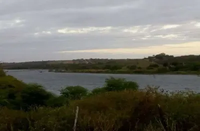 Fazenda/sítio/chácara para venda possui 95 hectares na região de são paulo do protegi