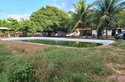 Fazenda/sítio/chácara para venda com 30 hectares com boa estrutura rica em água na região top