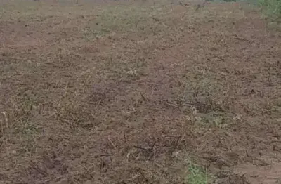 Chácara / sítio com 3 quartos à venda no Centro, Monte Alegre 