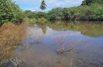 Chácara / sítio com 3 quartos à venda no Centro, Macaíba 