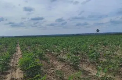 Excelente fazenda com 41 hectares na região de macaíba próximo a cana brava