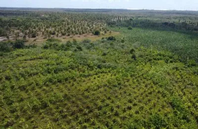 Fazenda com 379 hectares na região de rio do fogo cortada por rio perene e pela br 101