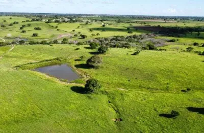 Fazenda com 410 hectares com uma estrutura encantadora 90% plantado