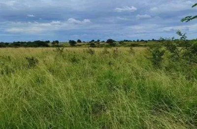 Fazenda com 270 hectares em bom jesus plantada e piquetada água top