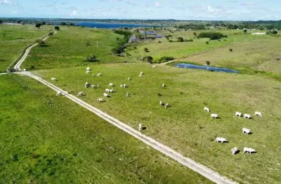 Fazenda com 150 hectares entre macaiba e vera cruz um luxo de fazenda