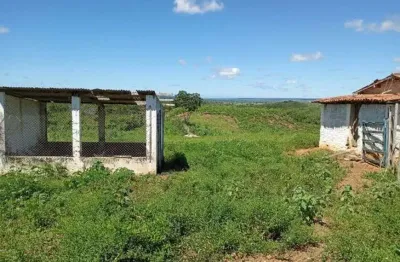 Excelente granja com 6.6 hectares no arena excelente para criação e plantação