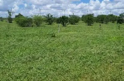 Chácara / sítio com 3 quartos à venda no Centro, Jandaíra 
