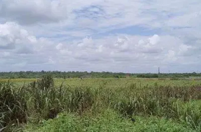 Chácara / sítio com 3 quartos à venda no Centro, Vera Cruz 