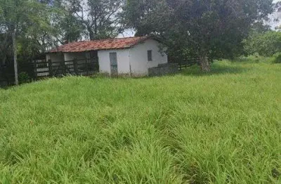 Fazenda com 40 hectares em comum município de monte alegre um luxo de fazenda