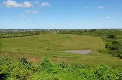 Granja com 6.6 hectares no arena excelente para criação e plantação