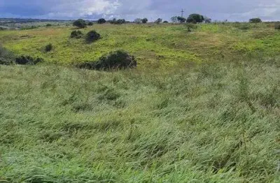 Fazenda na região de monte alegre com 20 hectares 100% plantada