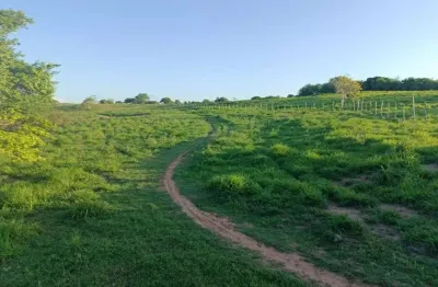 Granja com 20 hectares em monte alegre no distrito de comum cortada apelo rio e plantada