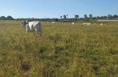 Chácara / sítio com 3 quartos à venda no Centro, Monte Alegre 