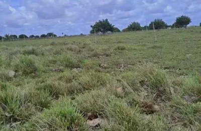 Excelente fazenda com 27 hectares na região de monte alegre