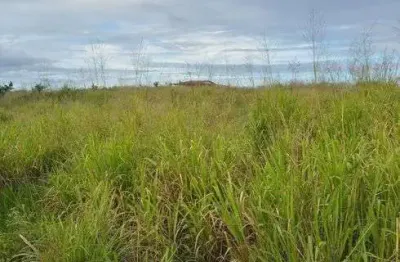 Chácara / sítio com 3 quartos à venda no Centro, Monte Alegre 