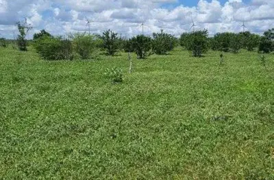 Fazenda com 45 hectares em jandaira com 2 poços tubulares 100% plana