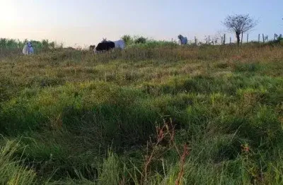Granja com 7 hectares na região de monte alegre para criação de gado plantação etc.