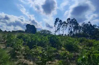Área com 15.000 metros quadrados no centro de monte alegre com dois ascesso ao asfalto