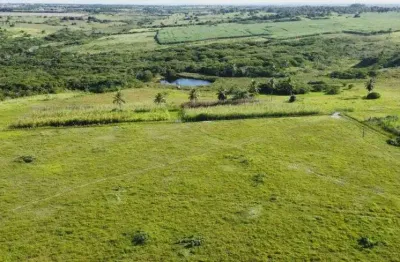 Excelente fazenda com 80.5 hectares em monte alegre estruturada rica em água