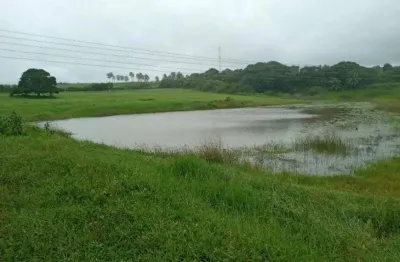 Excelente granja com 11 hectares na região de monte alegre estruturada