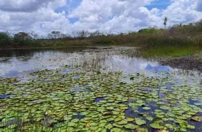 Fazenda/sítio/chácara para venda com 270.000 quadrados com 5 quartos
