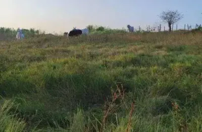Chácara / sítio à venda no Centro, Monte Alegre 