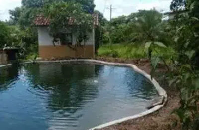 Excelente fazenda com 34 hectares em mendes município de são josé de mipibu