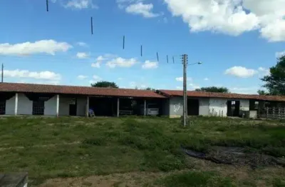 Chácara / sítio com 3 quartos à venda no Centro, Santa Maria 