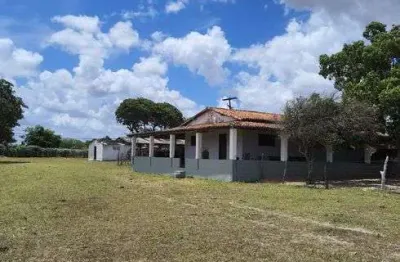 Chácara / sítio com 3 quartos à venda no Centro, Monte Alegre 