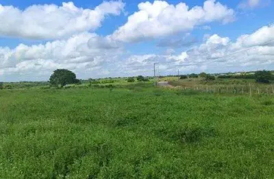Fazenda/sítio/chácara para venda possui 16 hectares com casa sede de 3 quartos casa caseiro rio etc