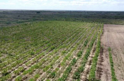 Fazenda com 50 hectares na região de touros 100% desmatada e com 3 poço tubulares de alta vazão hs