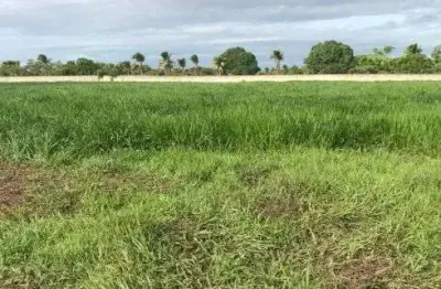 Fazenda com 69 hectares na região de ceará mirim 100% plana bem localizada