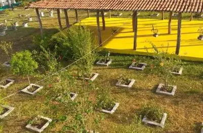 Propriedade com 1.3 hectares em monte alegre bastante estruturada