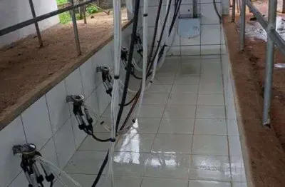 Chácara / sítio com 3 quartos à venda no Centro, Monte Alegre 