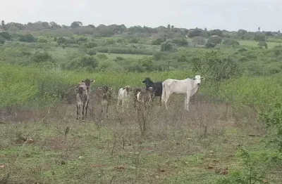 Fazenda com 27 hectares para criação de gado ou plantação