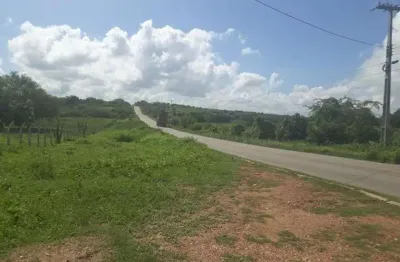 Fazenda com 137 hectares a um km centro de são pedro do potengi