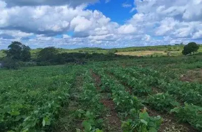 Fazenda/sítio/chácara para venda tem 11 hectares com 2 casas riacho escritura pública, rua calçada