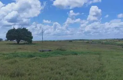 Chácara / sítio com 3 quartos à venda no Centro, Monte Alegre 