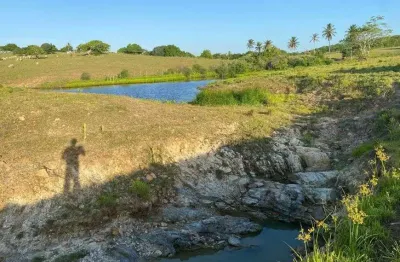 Fazenda de porteira fechada 20 hectares na região de monte alegre com estrutura de porteira fechada