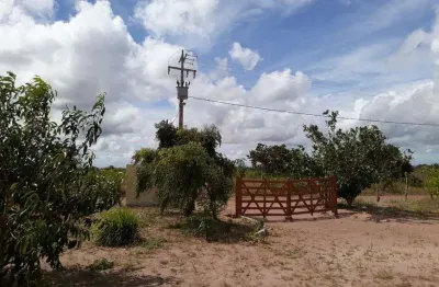 Otima granja com 3 hectares na região de ceará mirim