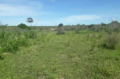 Fazenda com 240 hectares no córrego de são mateus município de boa saúde