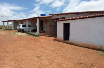 Fazendinha 11.5 hc. top de luxo na região de monte alegre