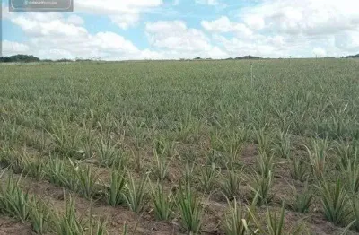 Chácara / sítio com 3 quartos à venda no Centro, Touros 