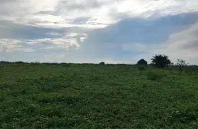Fazenda/sítio/chácara com 200 hectares na região de boa saúde com açudes e lagoas 70% desmatada etc