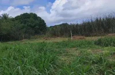 Granja com 12 hectares na região de são jose de mipibu