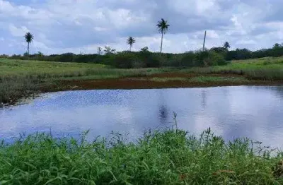 Fazenda com 103.8 hectares próximo a escola agrícola de jundiá boa de pasto e água
