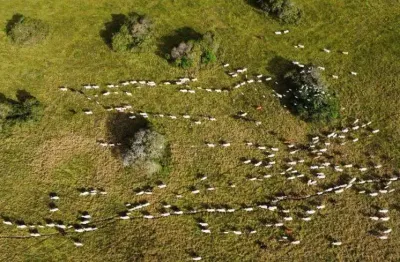 Fazenda com uma excelente localização e estrutura de alto padrão com 350 hectares